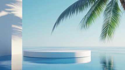 3d background product display podium scene with leaf geometric platform,cloud and sky, palm shadows and white stone podium,Mockup for eco beauty cosmetic advertising,Copy space.
