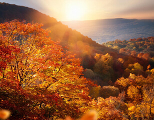 Naklejka premium Autumn season leafs plant scene 