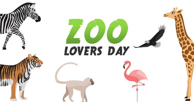 zoo lovers day motion video, ideal for zoo lovers day celebration