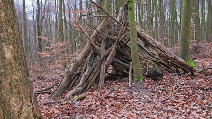 Improvised Shelter Hut Built in Forest by Bushcraft Enthusiast Survivalist using Branches and Leaves