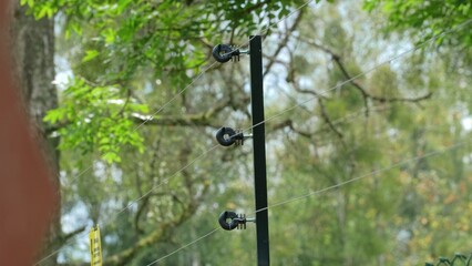 Electric Wire Fencing Perimeter at Around Outdoor Enclousure for Dangerous Wild Animals at Wildlife Sanctuary Refuge Zoological Garden Animal Park