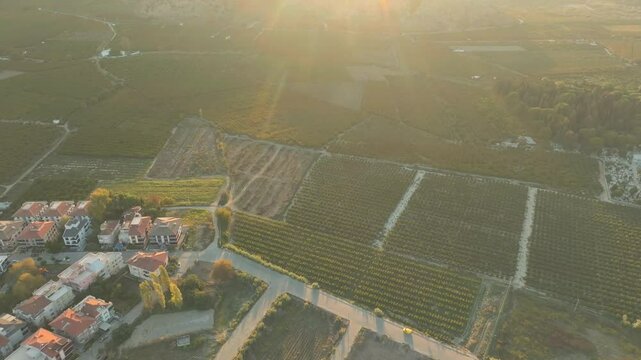 Sunny shot of the fields around Selcuk, historic city of turkey, buildings, greenland, agriculture, sunset in summer, spring