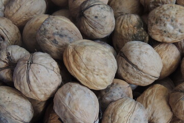walnuts close up