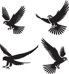 american kastrel flying poses, kestrel in flight vector, soaring raptor illustration