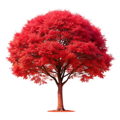 Large red tree