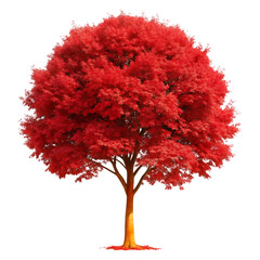 Large red tree
