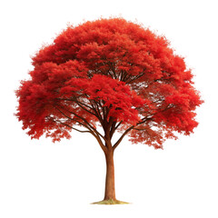 Large red tree
