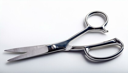 Sleek Stainless Steel Scissors: A Modern Minimalist Design