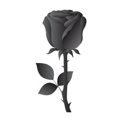 Elegant rose vector design with detailed petals and smooth curves