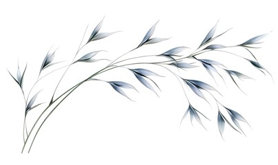Elegant, curved branch with delicate, light blue leaves isolated on white.