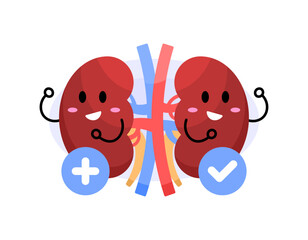 illustration of a pair of kidneys smiling happily because they are in a healthy condition. healthy kidney organ. health and condition. character expression. flat style character design. element