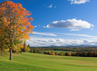Vibrant autumn landscape featuring rolling hills and a colorful tree in bright sunlight