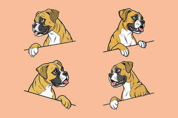 A Boxer dog vector is a simplified, stylized illustration showcasing the breed's muscular build, expressive face, and short coat, often in bold lines and minimal colors like brown, white, and black
