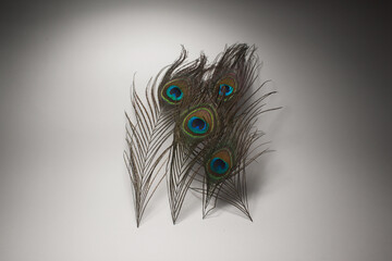 Obraz premium This is a very beautiful peacock feather and flute, it symbolizes beauty and harmony and also symbolizes one of the figures in Bharat, he is Krishna.