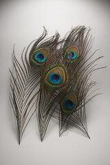 This is a very beautiful peacock feather and flute, it symbolizes beauty and harmony and also...