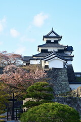 小峰城跡（福島県）