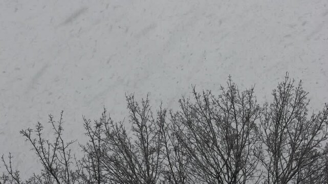 Wintereinbruch mit viel Schnee und Schneefall