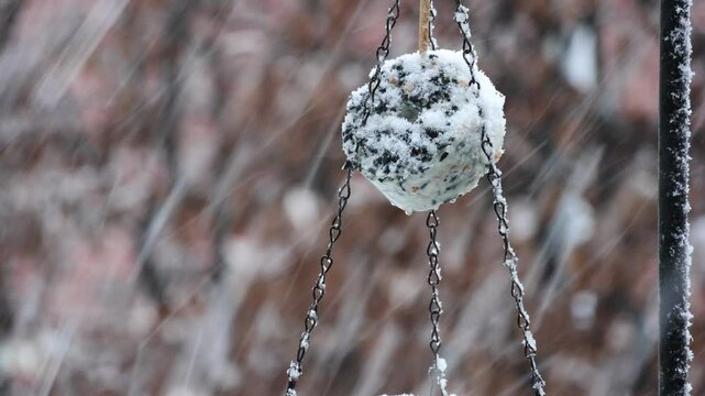 Futterring f &uuml;r V&ouml;gel im Winter wird eingeschneit