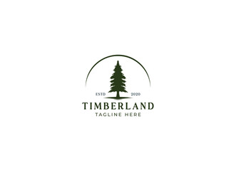 Silhouette of three pines tree similar with evergreen fir conifer spruce cedar larch cypress tree. Forest Landscape classic vintage logo design