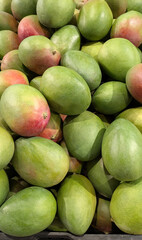 Fresh mangos in a supermarket, background, close-up for food blogger