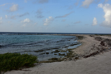 Gentle Waves Lapping Ashore at Bachelors Beach Cove