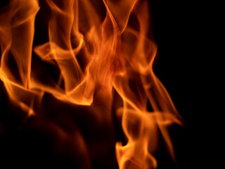 Open fire on a black background. Beautiful flame.
