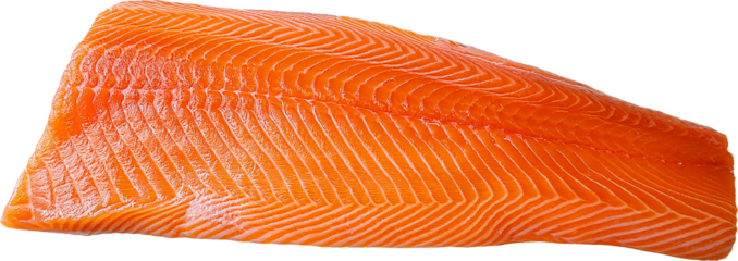 fresh raw salmon fillet with vibrant orange color and detailed texture on isolated background
