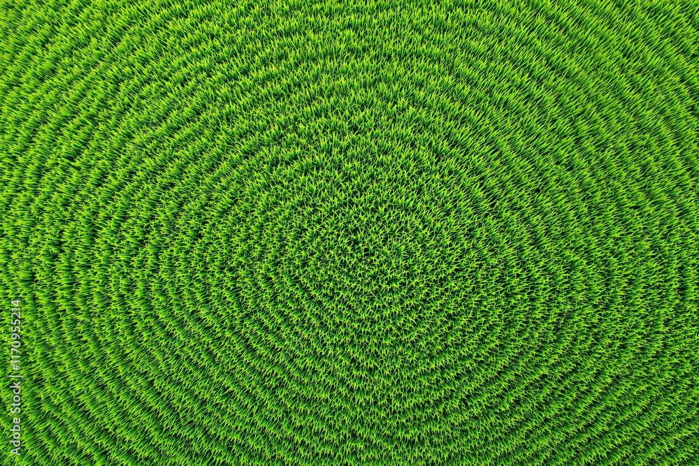 Poster aerial view of lush green grass arranged in symmetrical circular patterns, creating a mesmerizing te
