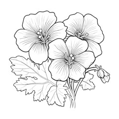 Elegant Silhouette Floral Flower Line Art Vector Illustration