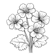 Elegant Silhouette Floral Flower Line Art Vector Illustration