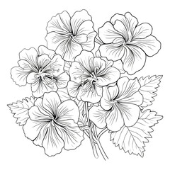 Elegant Silhouette Floral Flower Line Art Vector Illustration