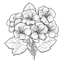 Elegant Silhouette Floral Flower Line Art Vector Illustration