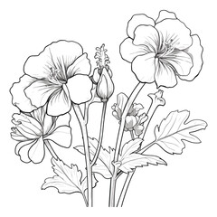 Elegant Silhouette Floral Flower Line Art Vector Illustration