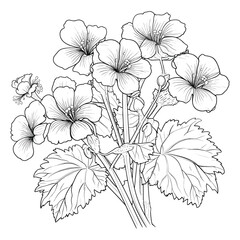 Elegant Silhouette Floral Flower Line Art Vector Illustration