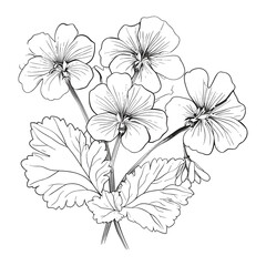 Elegant Silhouette Floral Flower Line Art Vector Illustration