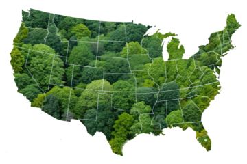 A detailed U.S. map with green forests overlaying state boundaries, reflecting the nation’s natural beauty and regional biodiversity, isolated on a transparent background