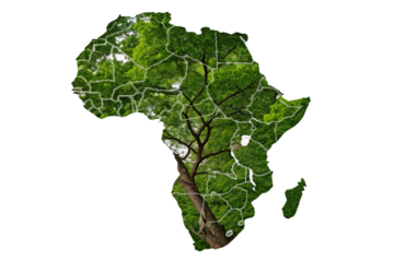 A silhouette of Africa filled with lush green foliage and white outlines of countries, symbolizing environmental richness and unity, isolated on a transparent background