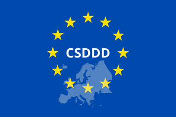 Corporate Sustainability Due Diligence Directive Concept (CSDDD). European Sustainability Initiative.