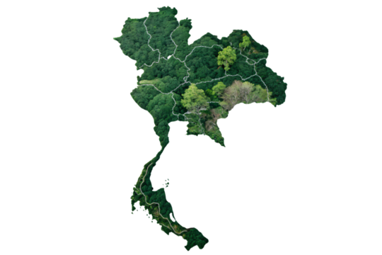 Thailand’s map with varying greenery, showing different forest densities and distinct regions, symbolizing ecological diversity, isolated on a transparent background