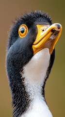 Naklejka premium A close up of a penguin's head with a yellow beak