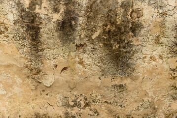 Wall Textured Close-Up Beige Brown Rusty Weathered Vintage Design Detail