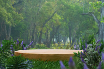 minimal wood tabletop podium floor outdoors in park garden forest tree nature background.natural...