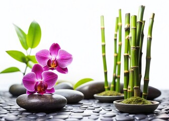 Miniature Zen Garden: Orchids & Bamboo on Basalt Stones - Tilt-Shift Photography