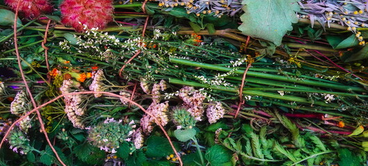 Herbs Colorful Assorted Close-Up Lush Natural Vibrant Green Botanical Plants