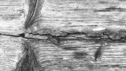 Wood Texture Detailed Close-Up Black White Natural Grain Pattern