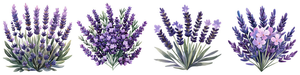 Naklejka premium Lush Lavender Fields in Bloom Offering Relaxing Fragrance and Elegant Scenery