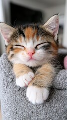 A small kitten sleeping on top of a scratching post