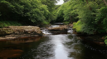 Serene River Flowing Through Lush Green Forest