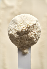 A scoop of whey protein powder, top view