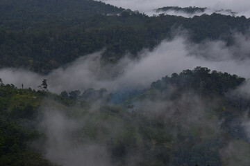 Fototapeta premium Misty mountain views in tropical forests.